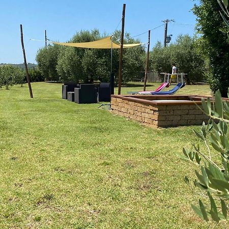 Podere La Vignata Toiano Dış mekan fotoğraf